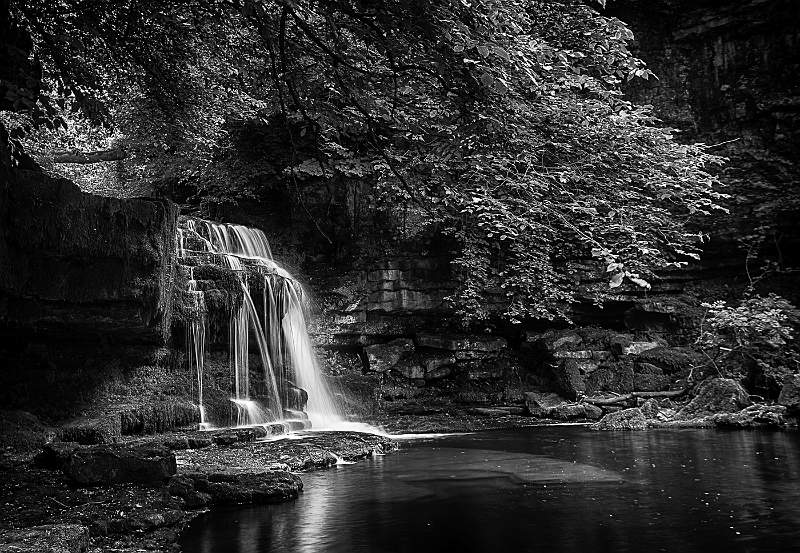 West Burton Force.jpg
